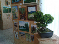 31. mája 2009, Výstava obrazov a bonsajov v Lančári.