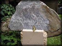 5. národná výstava bonsajov a suiseki, Trnava 2007