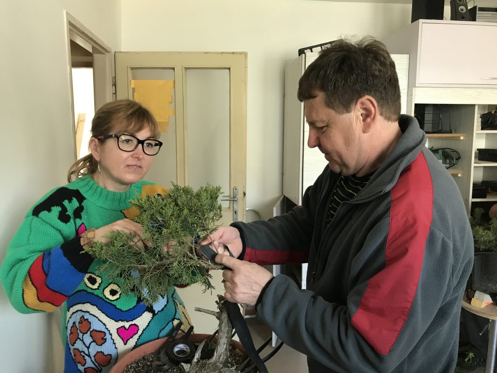 Stretnutie bonsaistov u Petra Rošku v Sobotišti 14.04.2019